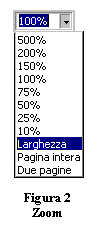 Casella di testo:  
Figura 2 Zoom

